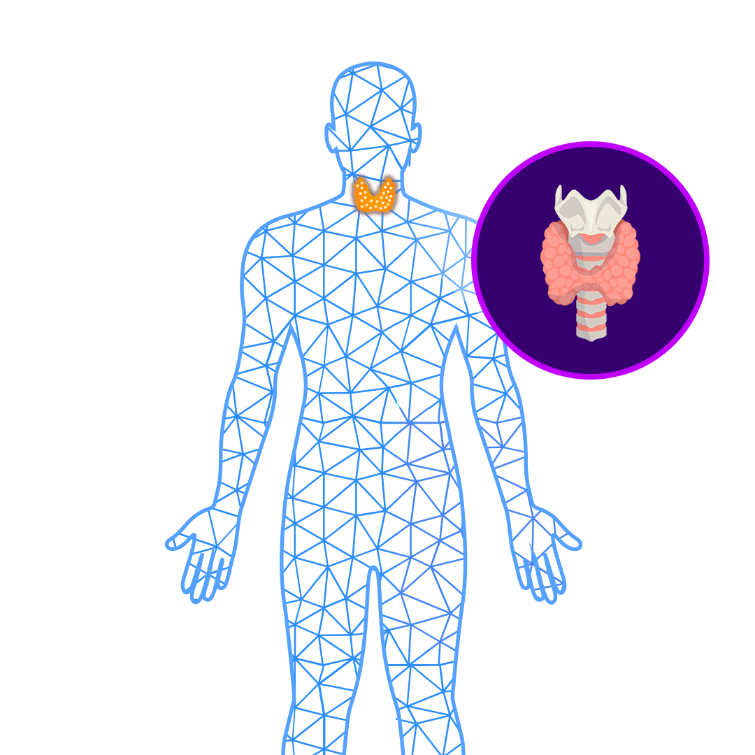 Thyroid Control FITPAA