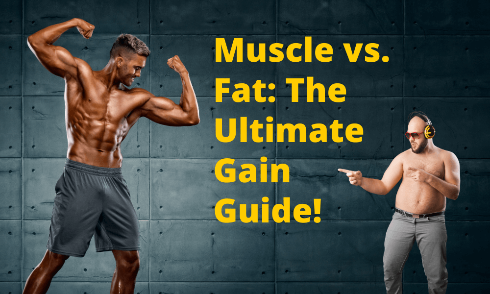 Muscle vs. Fat: The Ultimate Gain Guide!