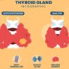 Thyroid Types: A Quick Overview