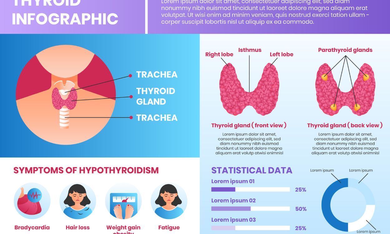 Thyroid & Digestion: Uncovering the Link