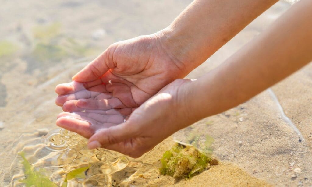 Treating Jellyfish Stings First Aid Measures and Prevention FITPAA