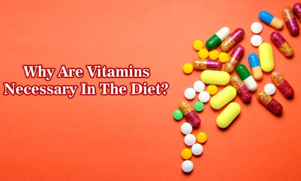 Are vitamin supplements necessary? FITPAA