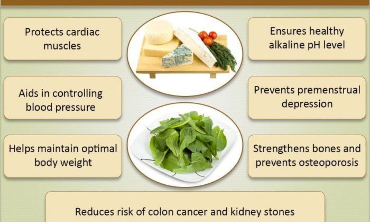 What Are The Benefits Of Calcium Fitpaa