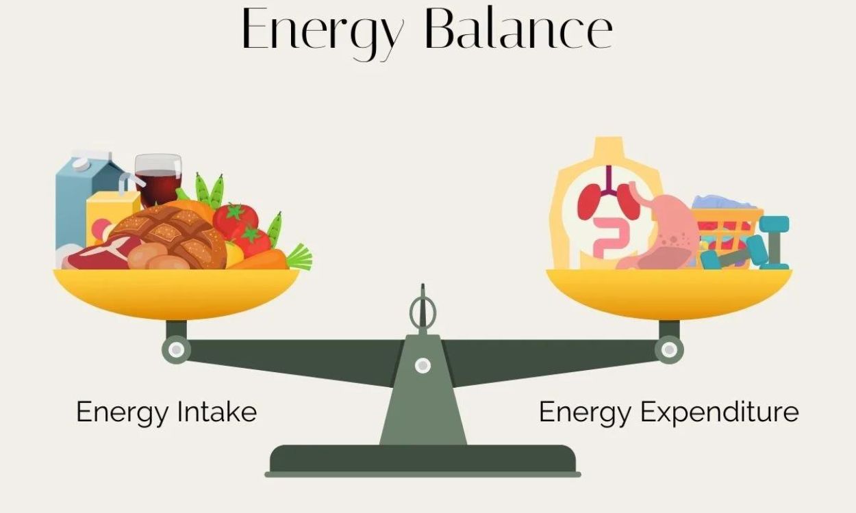 Balanced caloric intake